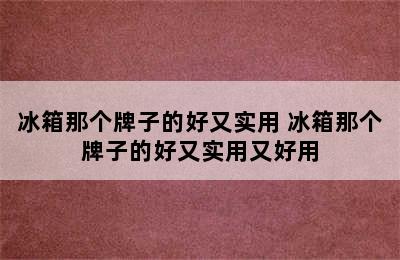 冰箱那个牌子的好又实用 冰箱那个牌子的好又实用又好用